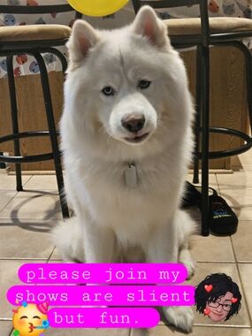 Mrsjuarez1217 Or Mrspie Show Join Me For A Slient Shows.